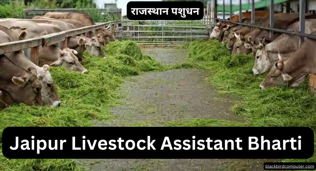 Jaipur Livestock Assistant Bharti 2023