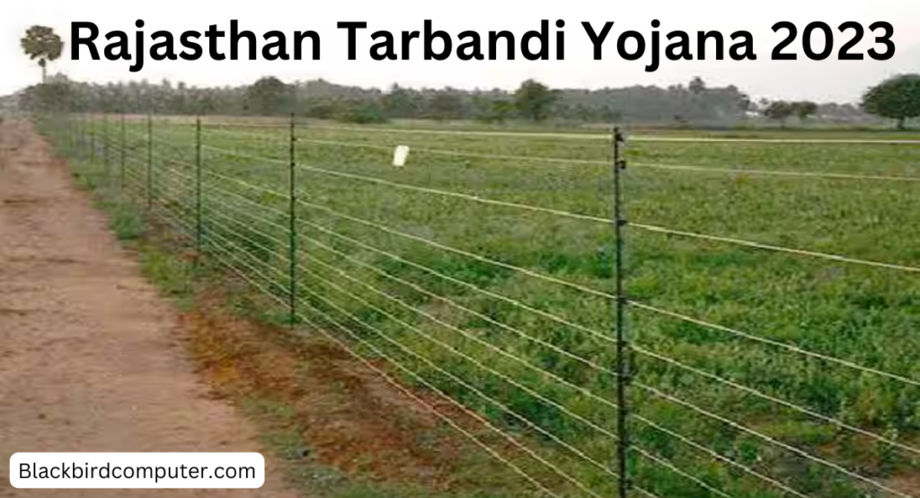 Rajasthan Tarbandi Yojana 2023