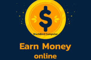 How to make money online